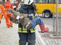 u_heiden_25.10.14_076